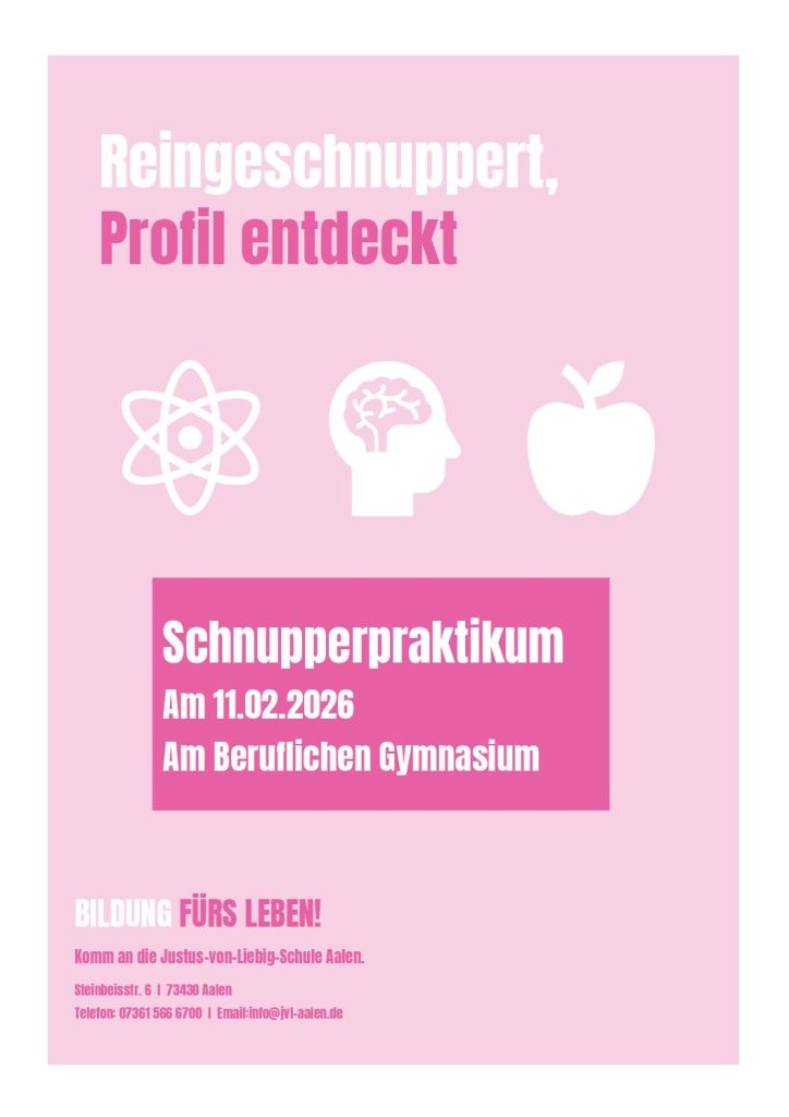 Schnupperpraktikum am Beruflichen Gymnasium